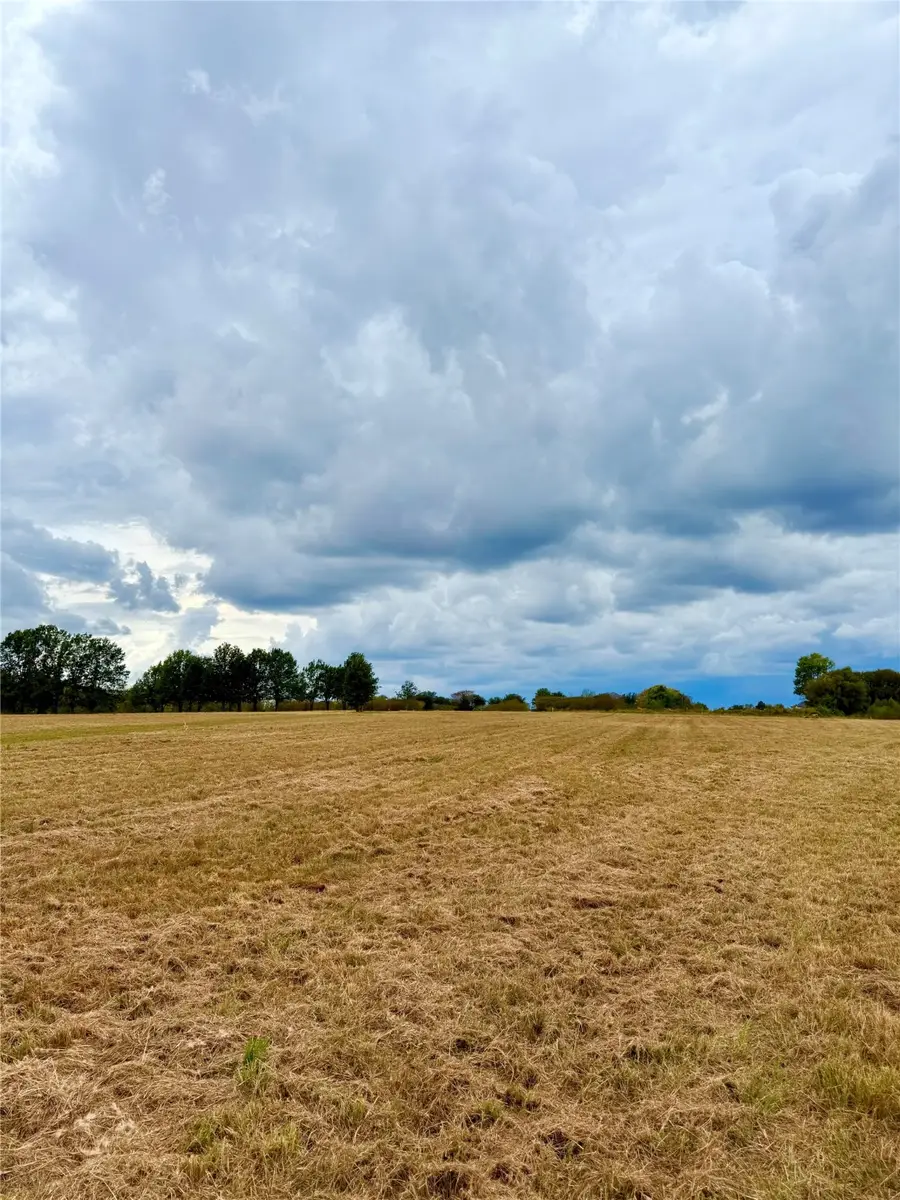 TBD Lot 11 County Road 3811, Wills Point, TX 75169 - Image #2