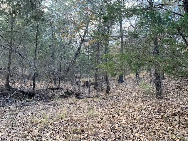 TBD N Cr 1200, Athens, TX 75751 - Image #2