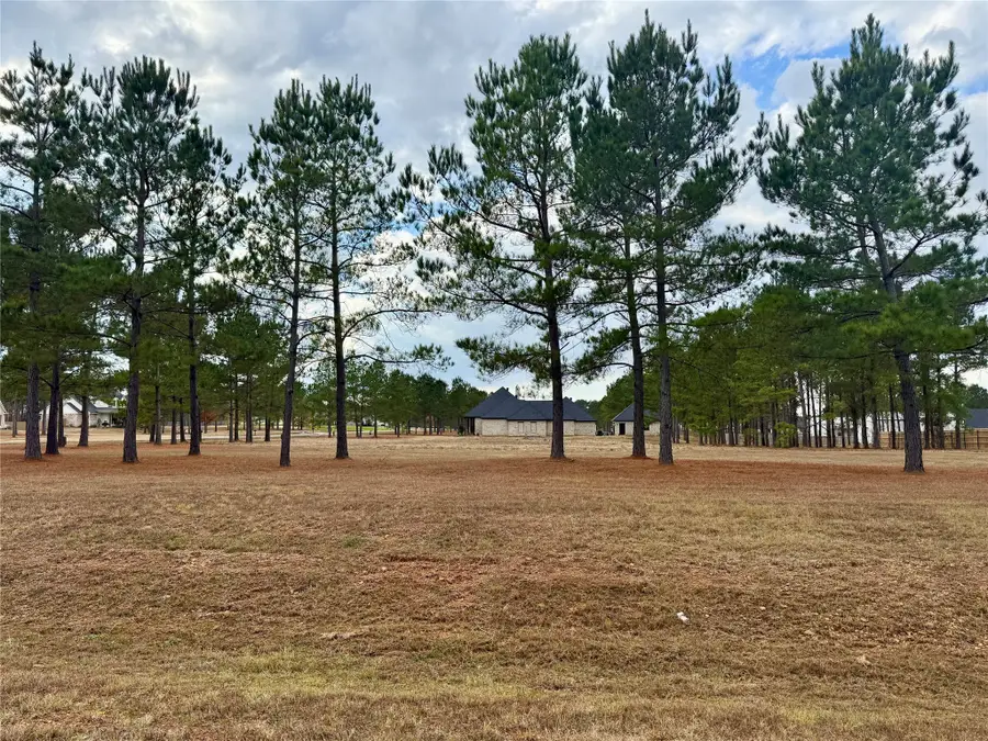 201 Chapel Creek, Princeton, LA 71067 - Image #3
