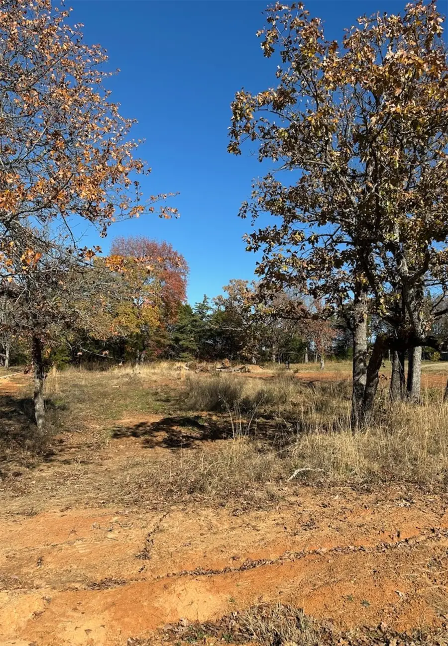 19668 Dove Ridge Drive, Lindale, TX 75771 - Image #3