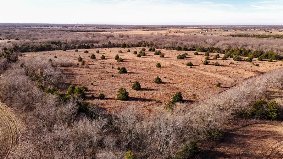 1015 Fm 1566 E, Greenville, TX 75401 - Image #2