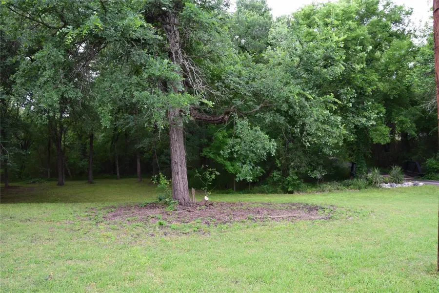 125 N Lost Valley Drive, Lucas, TX 75002 - Image #3