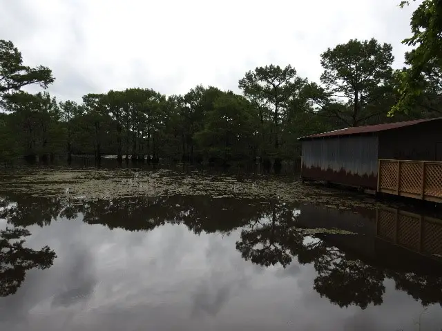 351 Gorton Road, Doyline, LA 71023 - Image #2