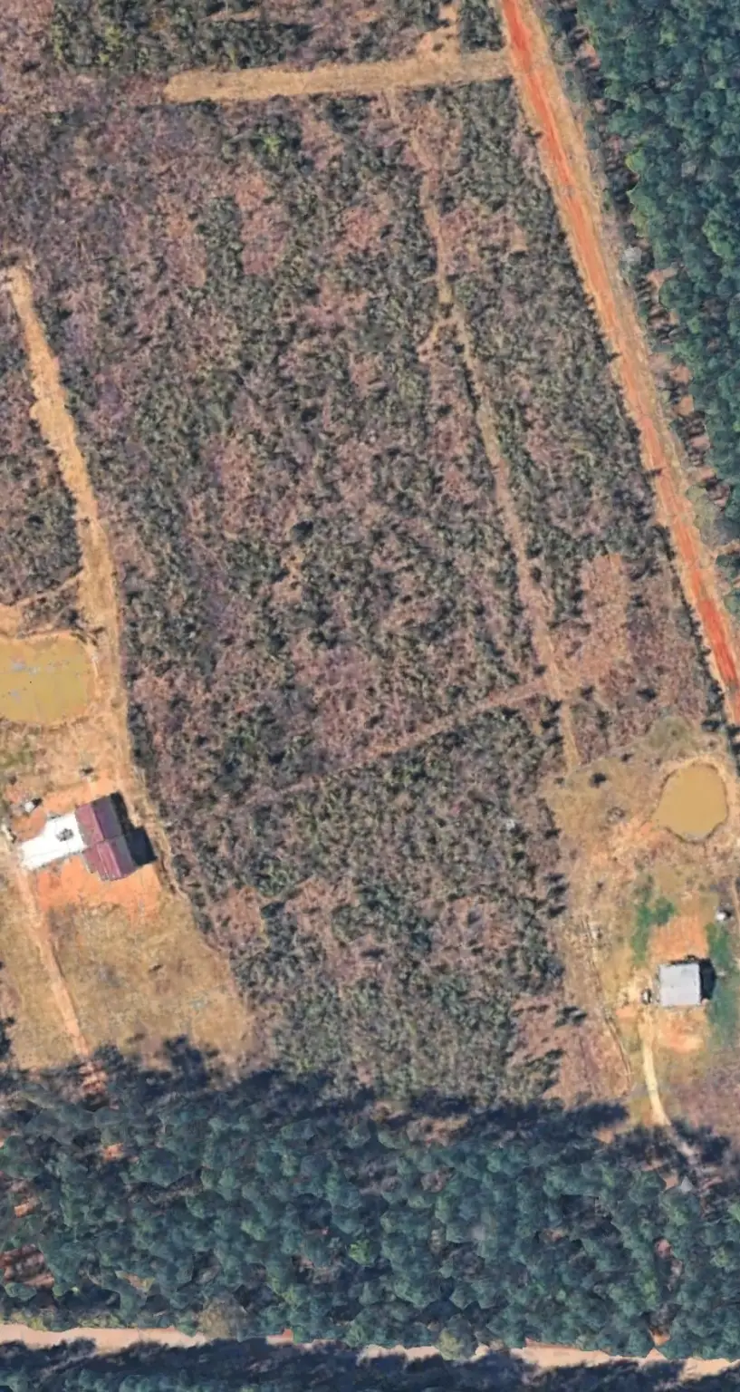 2590 Bodcau Dam Road, Benton, LA 71006 - Image #3