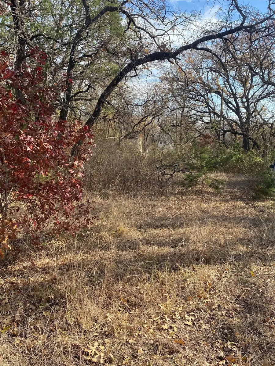 2927 Oak Wood Street, Granbury, TX 76048 - Image #2