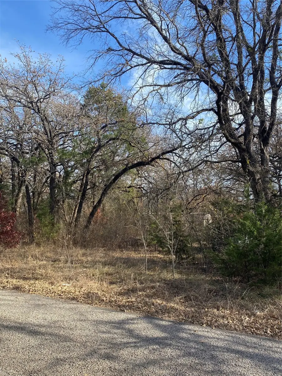 2927 Oak Wood Street, Granbury, TX 76048 - Image #3