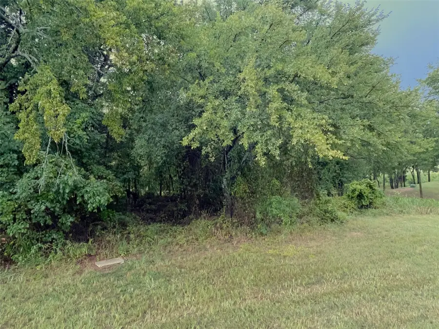 Lot 13C Coyote Creek Drive, Gordonville, TX 76245 - Image #2