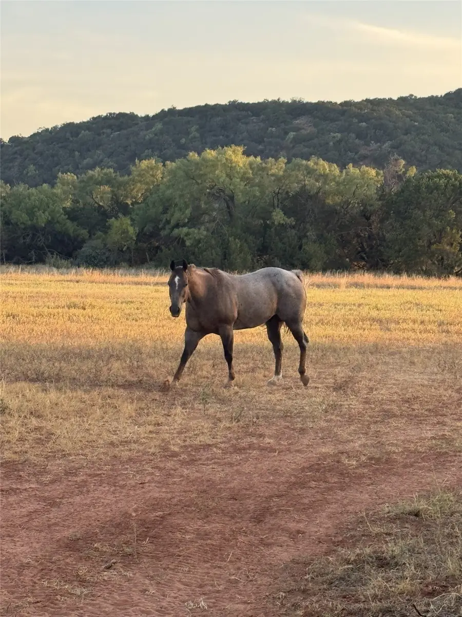 457 County Road 387, Merkel, TX 79536 - Image #2