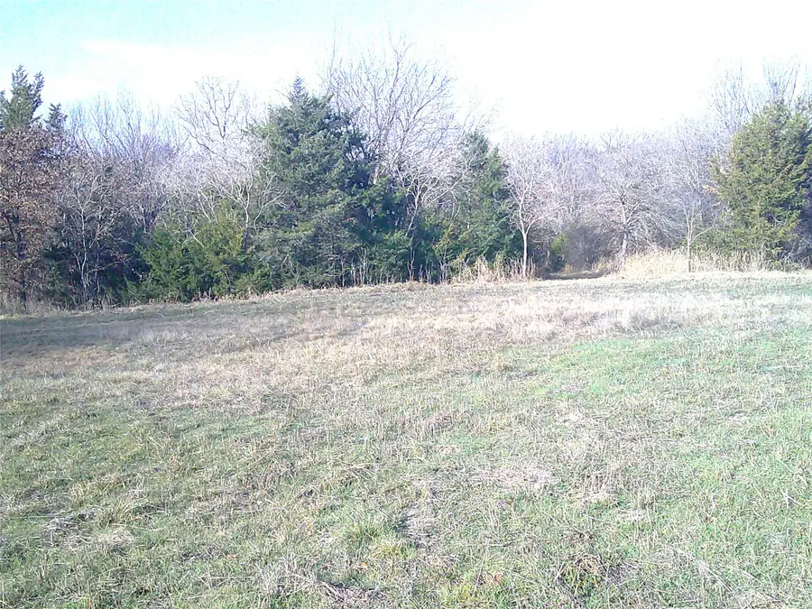 Lot 2 Starr Mann, Saint Jo, TX 76265 - #2