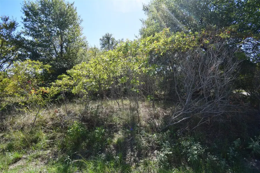 1131 Bora Bora Street, Tool, TX 75143 - Image #2