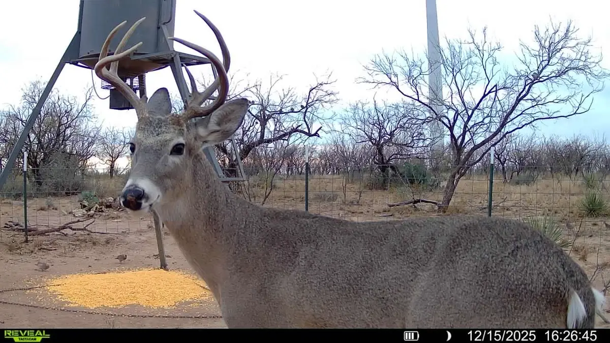 CR 450, No City, TX 79526 - #1