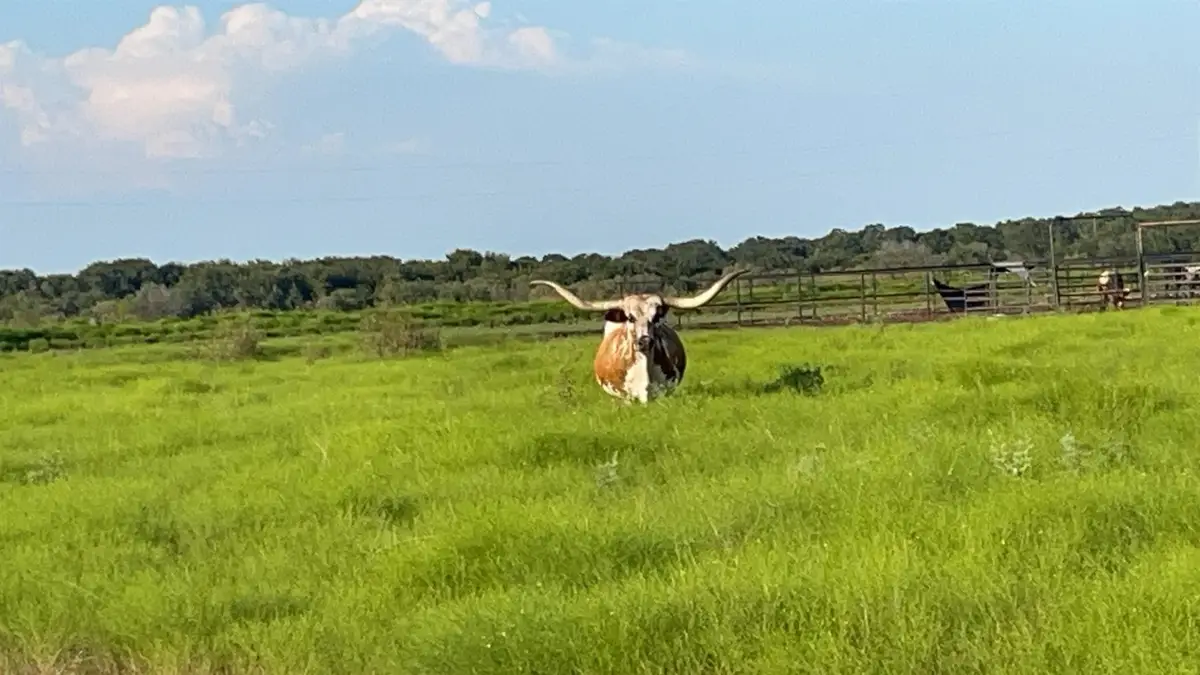 4565 County Road 140-a, Stephenville, TX 76401 - Image #1