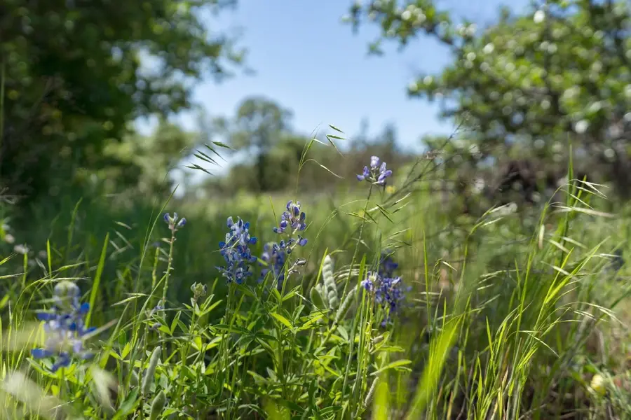 8416 Darley Court S, Cleburne, TX 76033 - Image #3