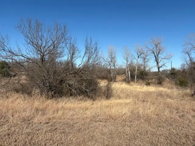 Lot 33 Eagles Way, Springtown, TX 76082 - Image #3