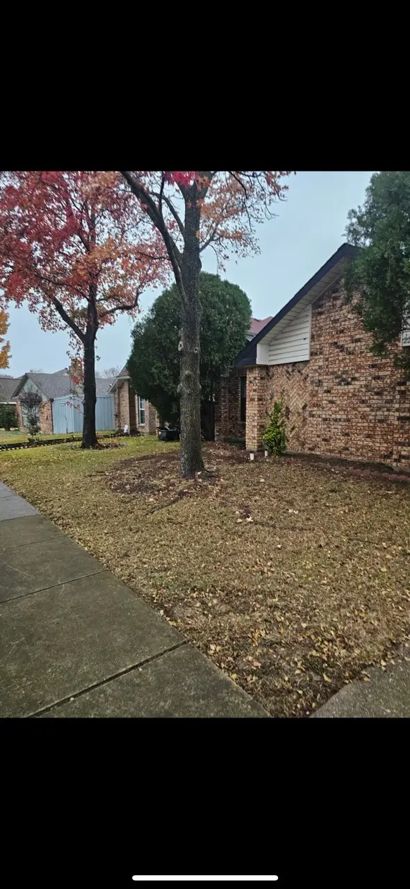 229 Overland Trail, Mesquite, TX 75149 - Image #1