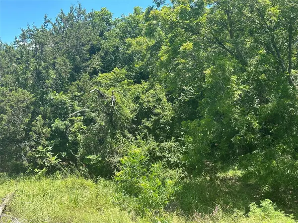 TBD Peninsula Drive, Bluff Dale, TX 76433