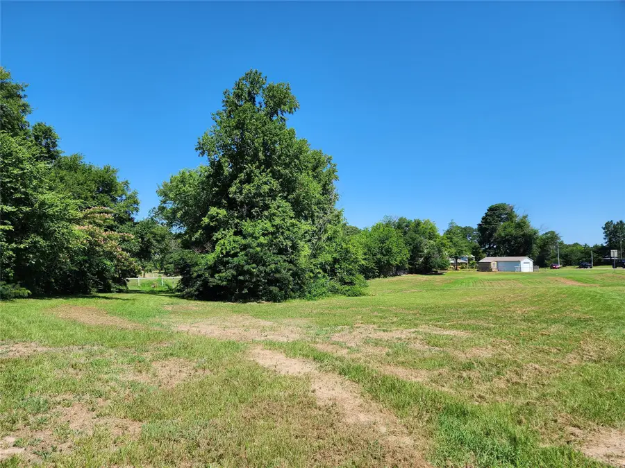 TBD Greenville Highway, Mineola, TX 75773 - Image #3