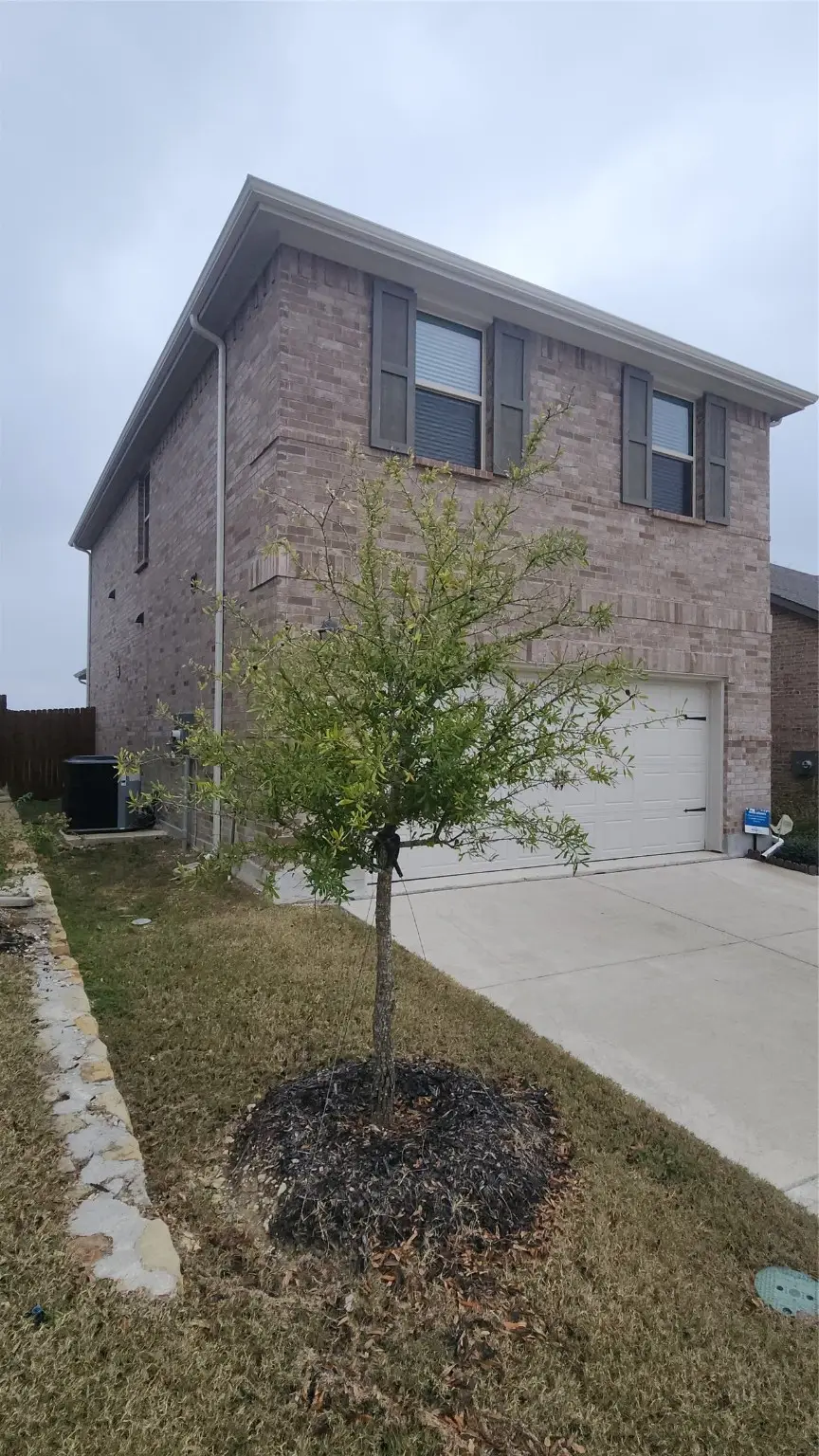 3111 Yellow Pine Drive, Melissa, TX 75454 - Image #2