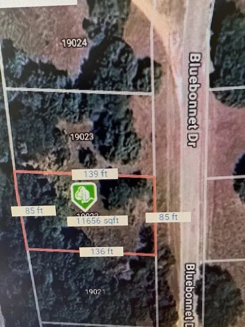 19022 Bluebonnet Drive, Whitney, TX 76692 - Image #3