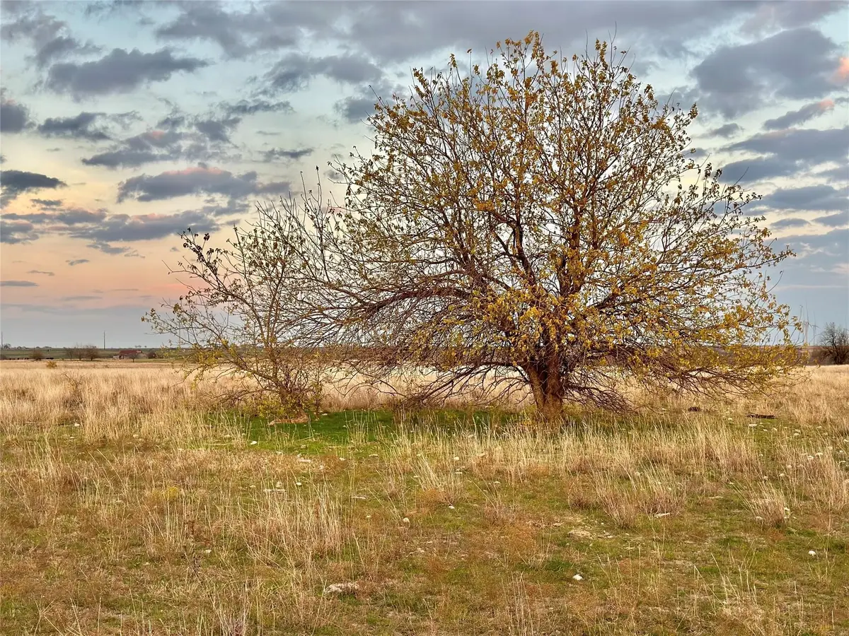 96.8 Acres County Road 353, Gainesville, TX 76240 - Image #1