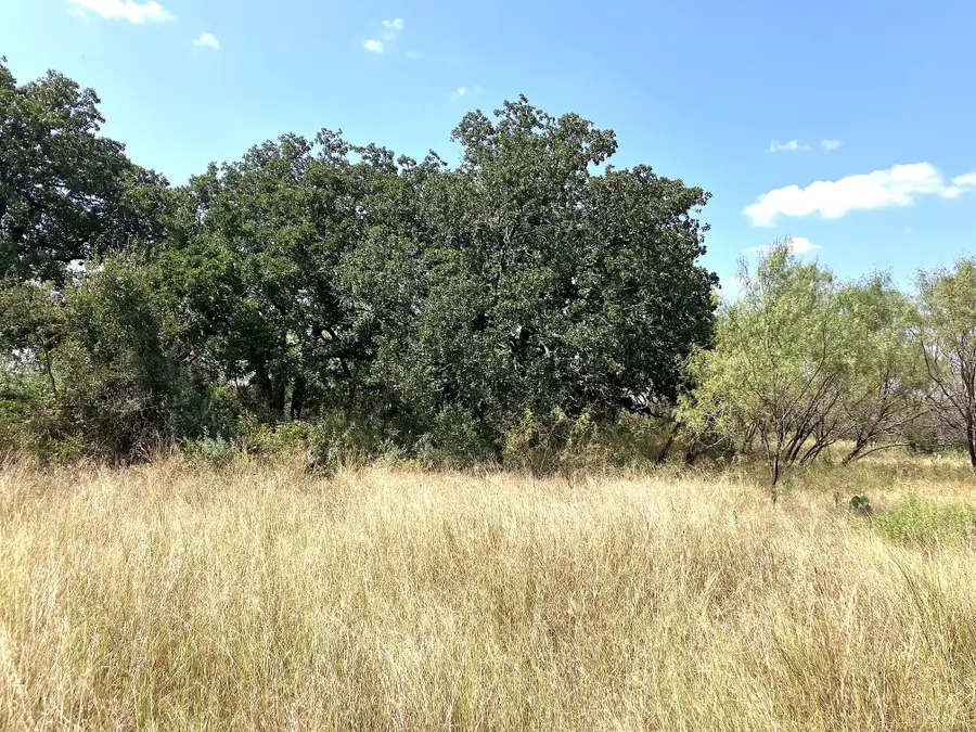 40 Acres TBD Hwy 2247, Comanche, TX 76442 - Image #3
