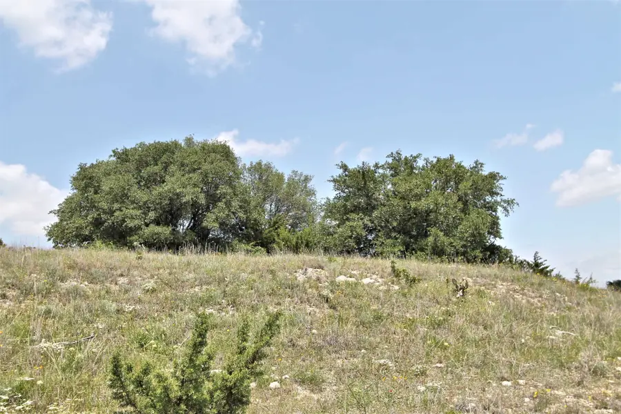 1102 Bluffview Ct, Glen Rose, TX 76043 - Image #2