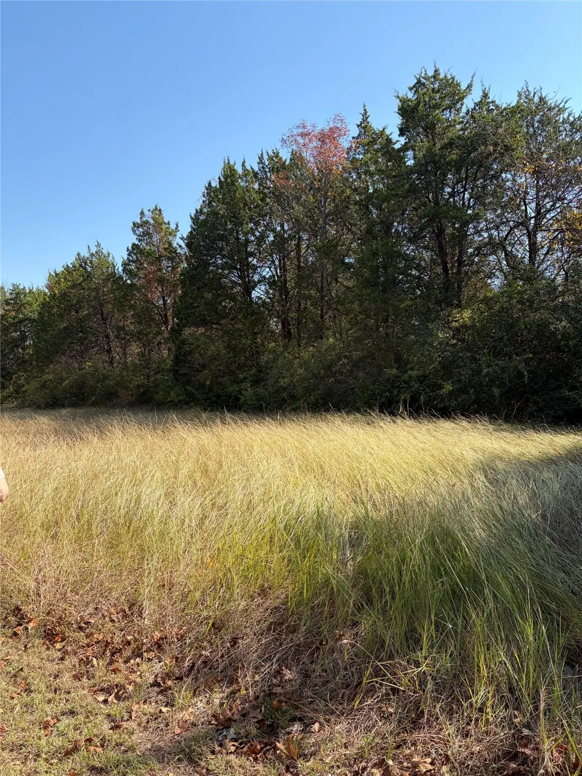 6540 No Name Street #6540, Dallas, TX 75241 - Image #1