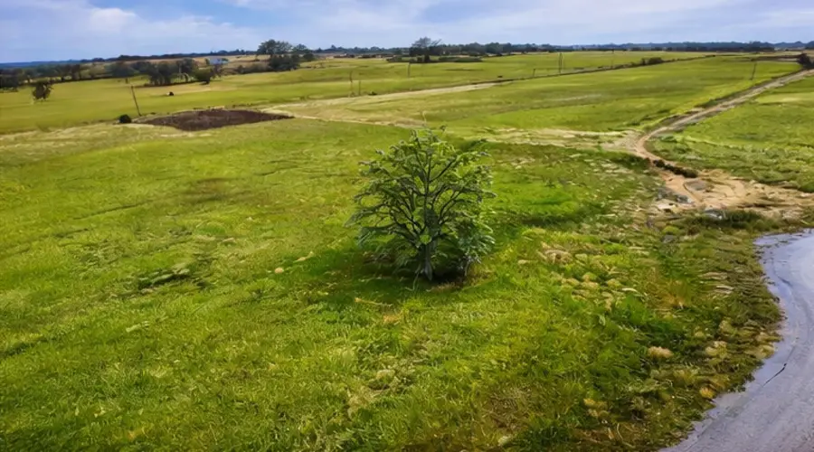 2619 Freedom Court, Tolar, TX 76476 - #3