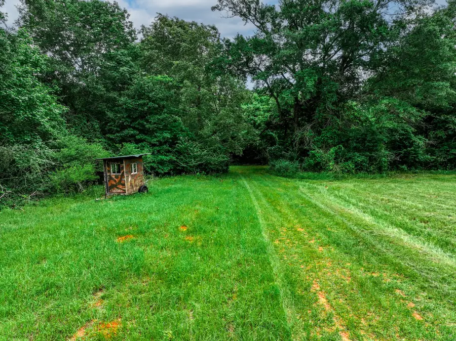 3732 Us Highway 84, Palestine, TX 75801 - Image #2