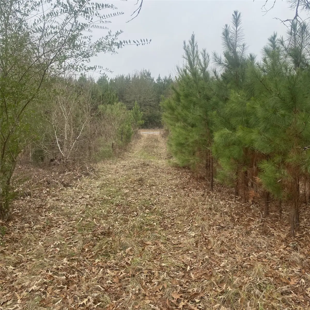 908 Wpa Rd, Mansfield, LA 71052 - Image #1