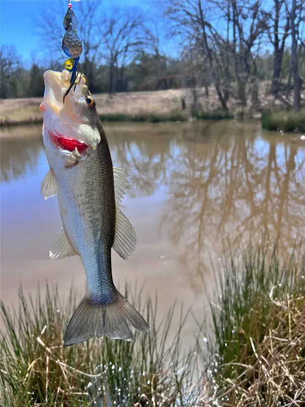 7275 Leavenworth Trail, Mead, OK 73449