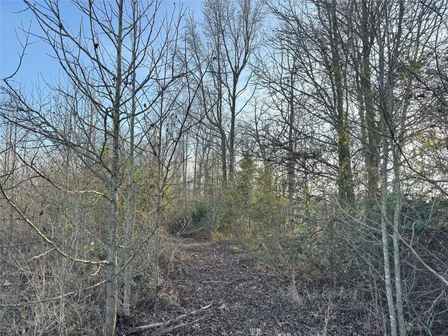 TBD County Road 4740, Mount Pleasant, TX 75455 - Image #3