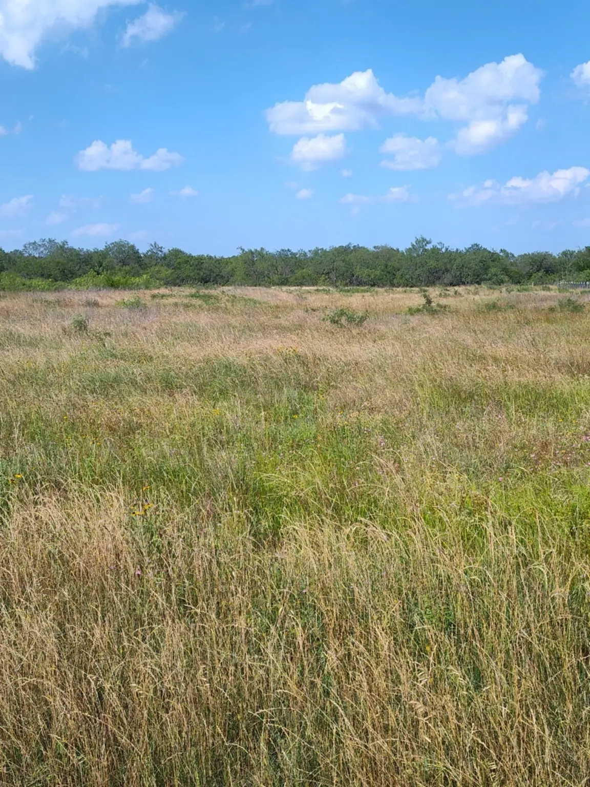 49 Boren Private Rd, Wortham, TX 76693 - Image #1