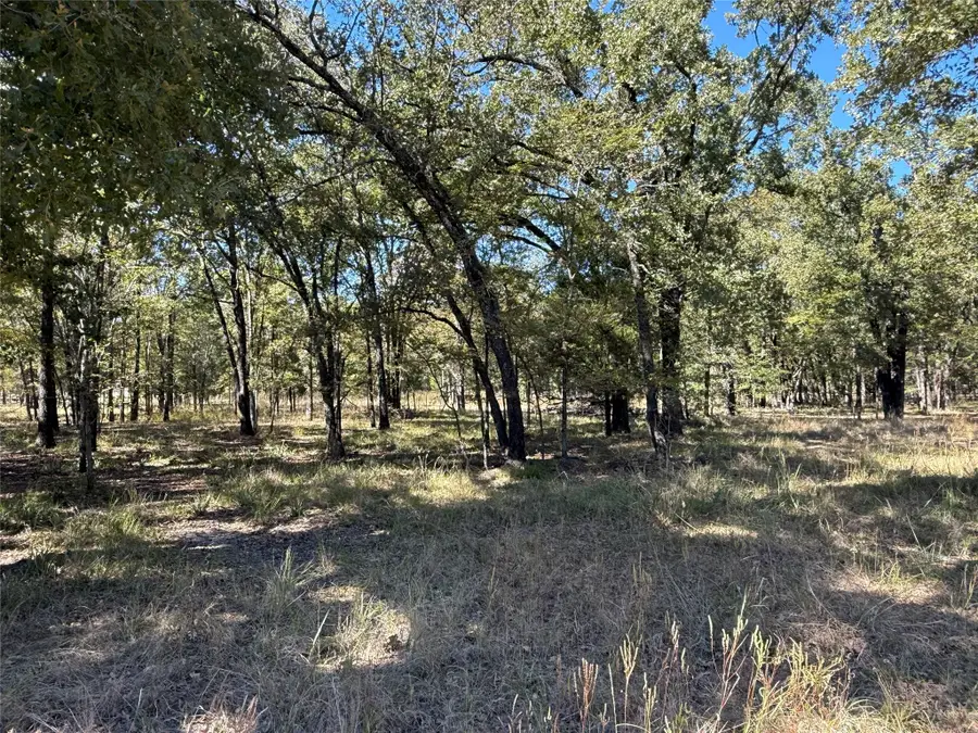 15801 Maple Lane, Malakoff, TX 75148 - #3