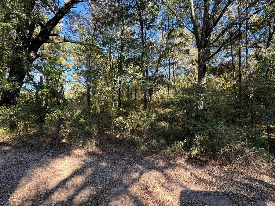 0 Rich Akes, Mooringsport, LA 71060 - Image #2