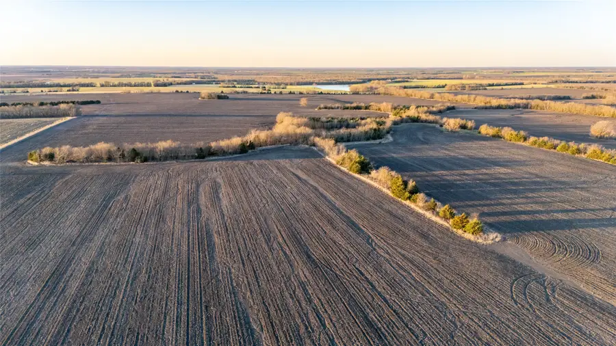 TBD County Road 3070, Ben Franklin, TX 75415 - Image #2