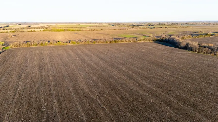 TBD County Road 3060, Ben Franklin, TX 75415 - Image #2