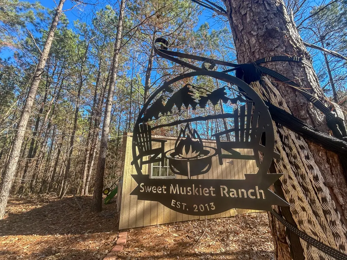 3320 Farm To Market 3065, Colmesneil, TX 75938 - #1