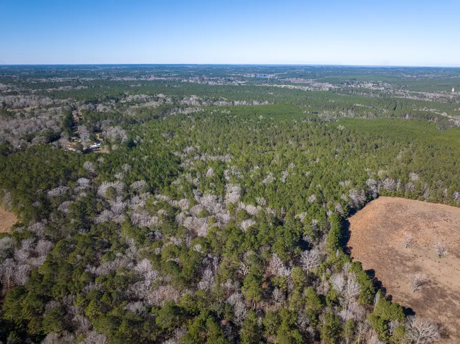 3320 Farm To Market 3065, Colmesneil, TX 75938 - #3