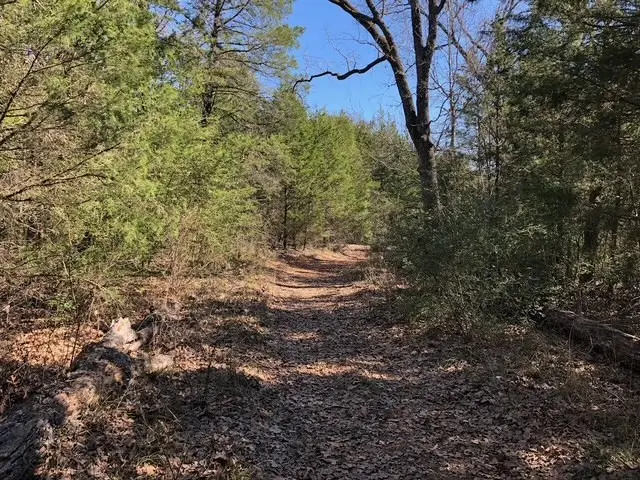 118 Lincoln Drive, Streetman, TX 75859 - #3