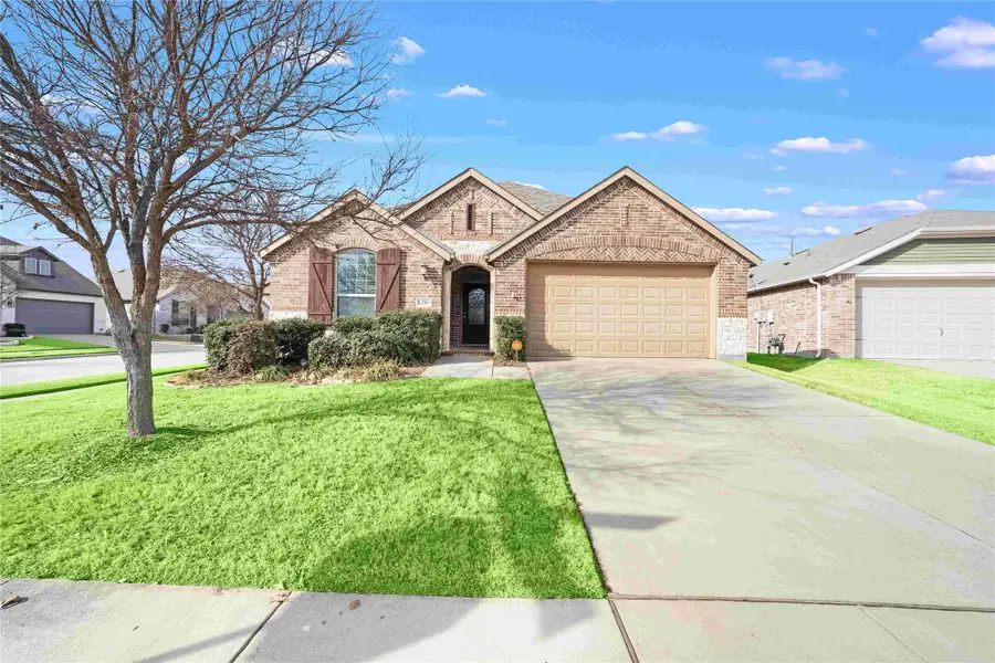 1216 White Dove Drive, Little Elm, TX 75068 - Image #2