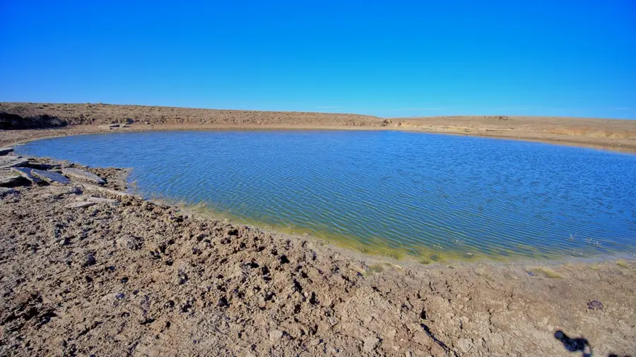 TBD Fm 1197, Dean, TX 76365 - Image #3