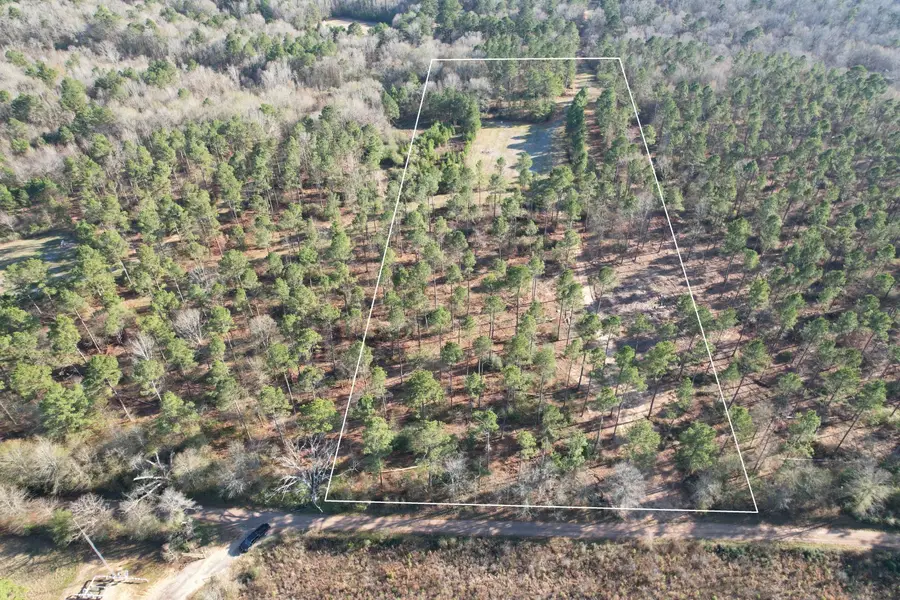 TBD-B County Road 216, Beckville, TX 75631 - Image #2