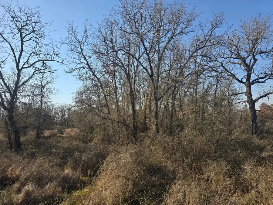 1017 Vh Ranch Road, Poolville, TX 76487 - Image #2