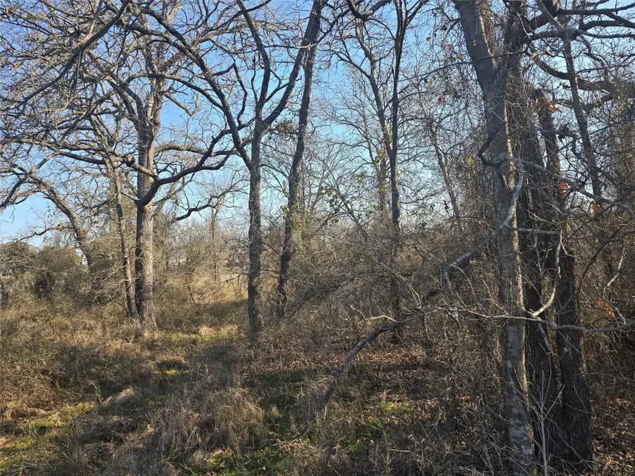 1017 Vh Ranch Road, Poolville, TX 76487 - Image #3