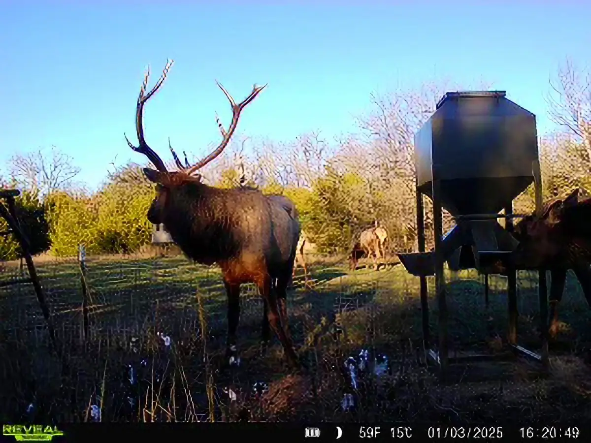 000 N3840 Road, East Coal, OK 74538 - #1