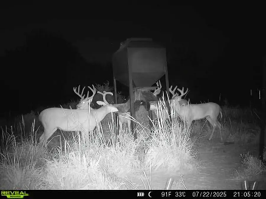 000 N3840 Road, East Coal, OK 74538 - #3