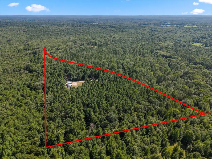 4012 County Road 3990, Winnsboro, TX 75494 - #2