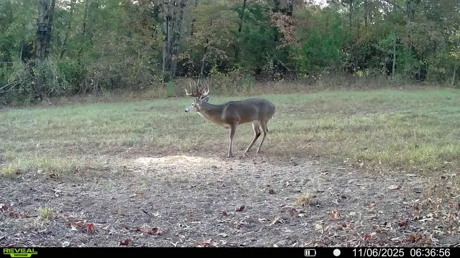 TBD Cr 2737, Naples, TX 75568 - Image #3