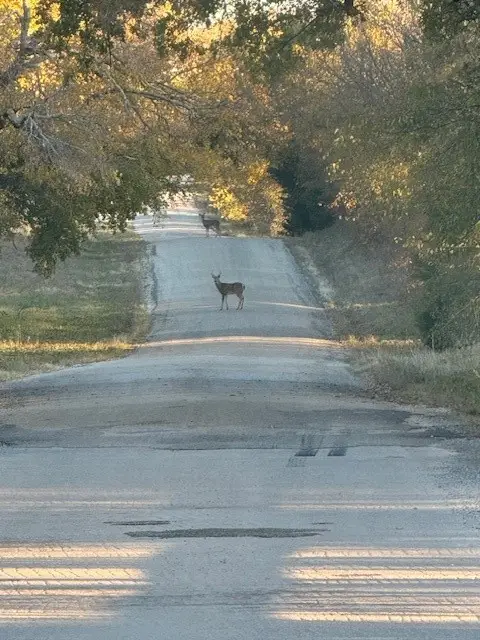 3151 Brookmole Road, Nocona, TX 76255